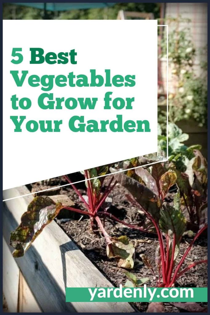 BEST VEGETABLES TO GROW IN YOUR BACKYARD visual data 4