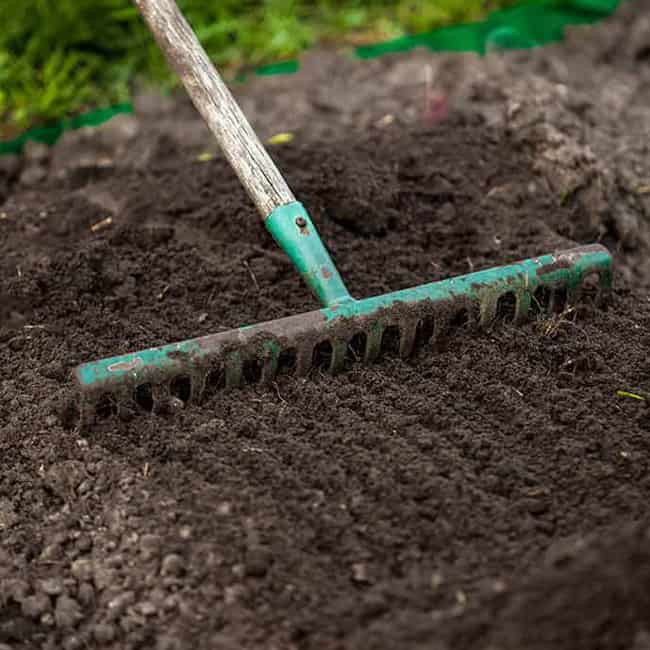 Lawn Soil Preparation