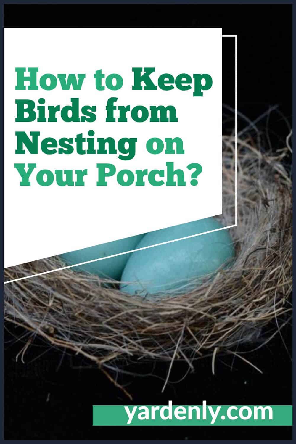 How to Keep Birds from Nesting on Your Porch (1)
