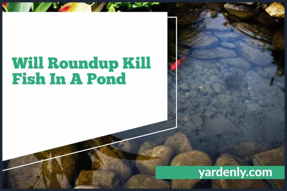 Will Roundup Kill Fish In A Pond (1)