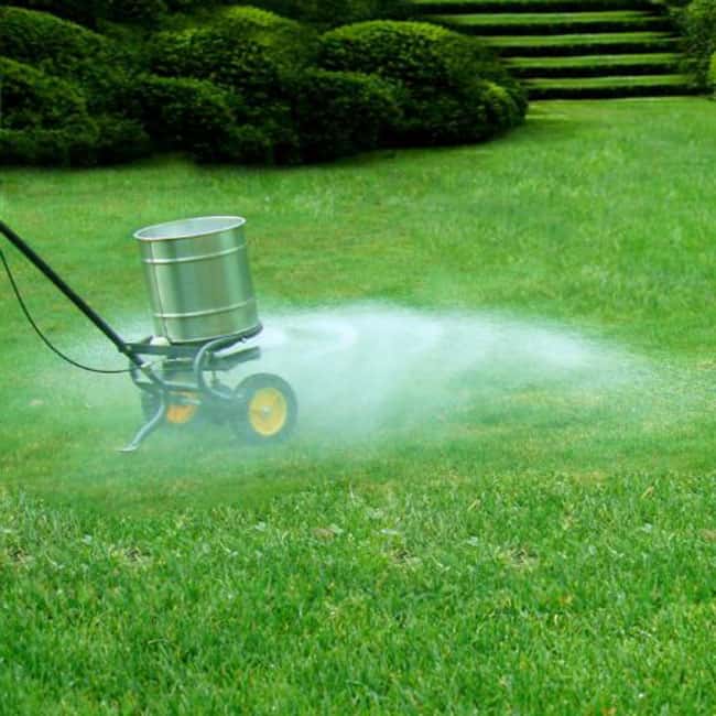 Best Way to Care for St. Augustine Grass