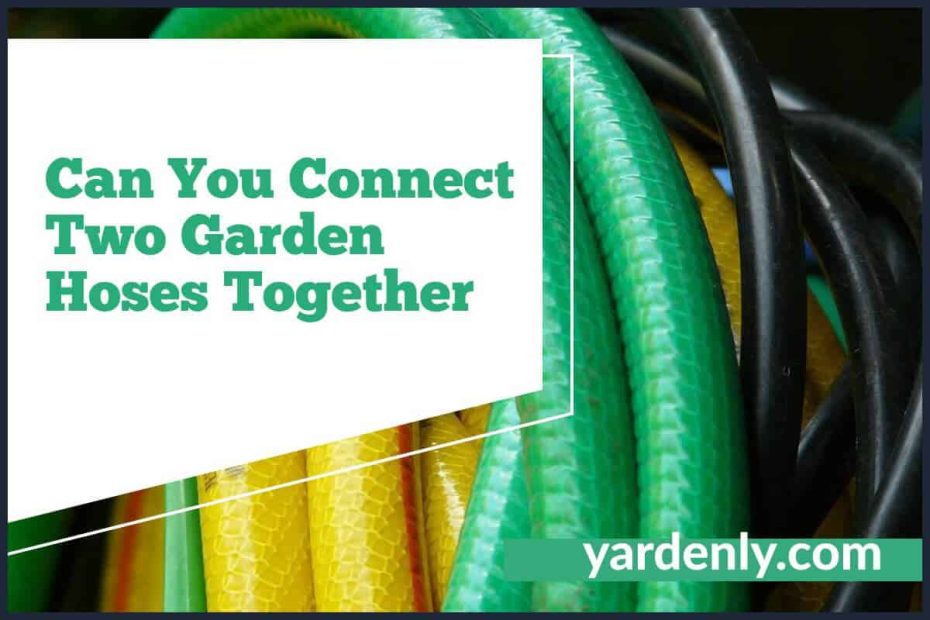 Can You Connect Two Garden Hoses Together (2)