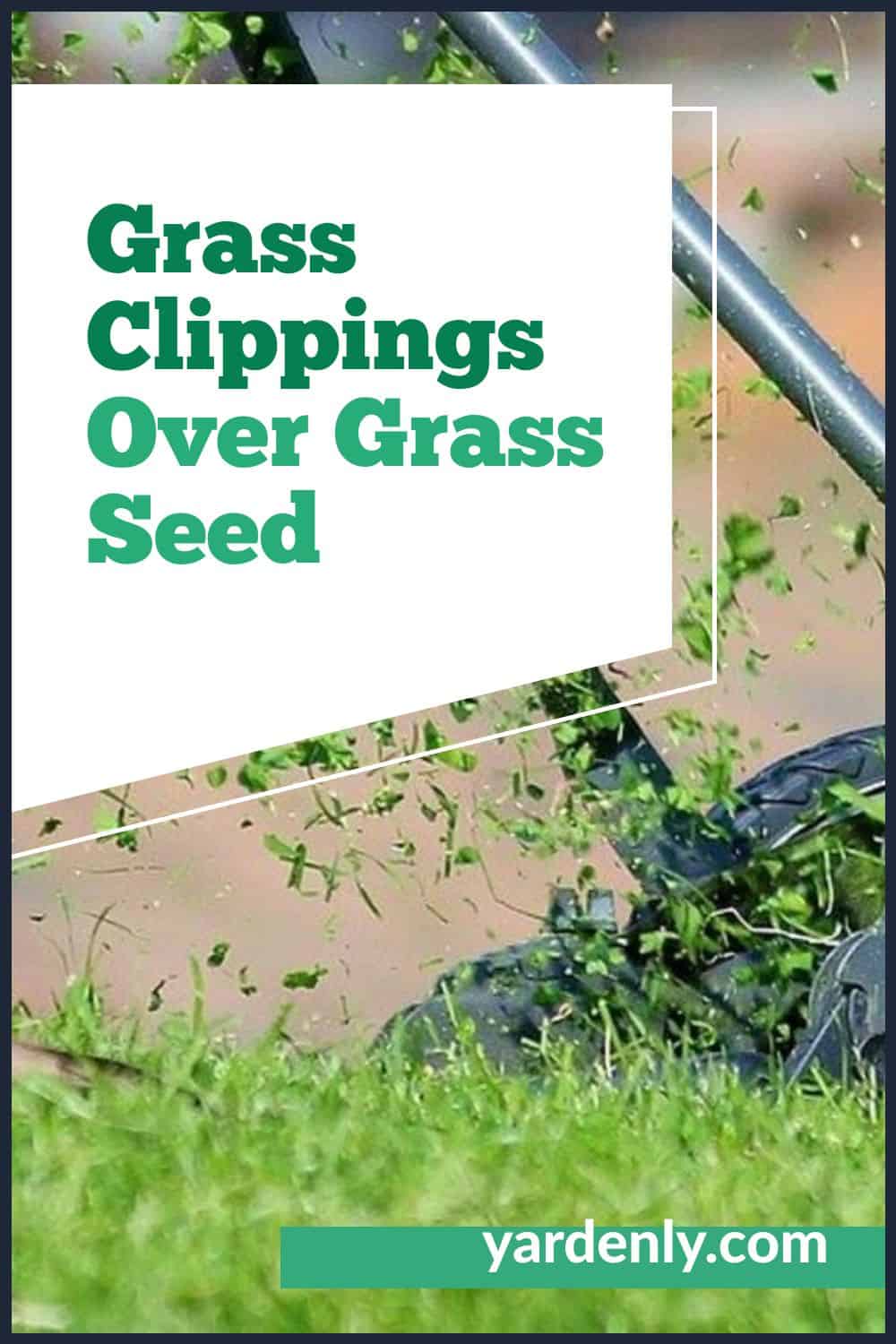 Grass Clippings Over Grass Seed