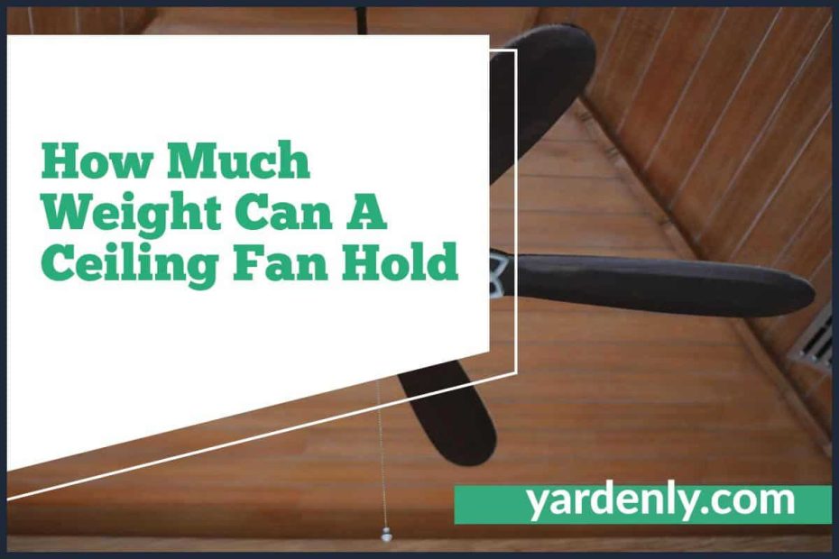 How Much Weight Can A Ceiling Fan Hold (1)