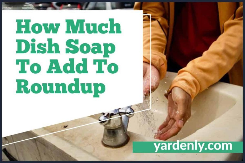 How Much Dish Soap To Add To Roundup (1)
