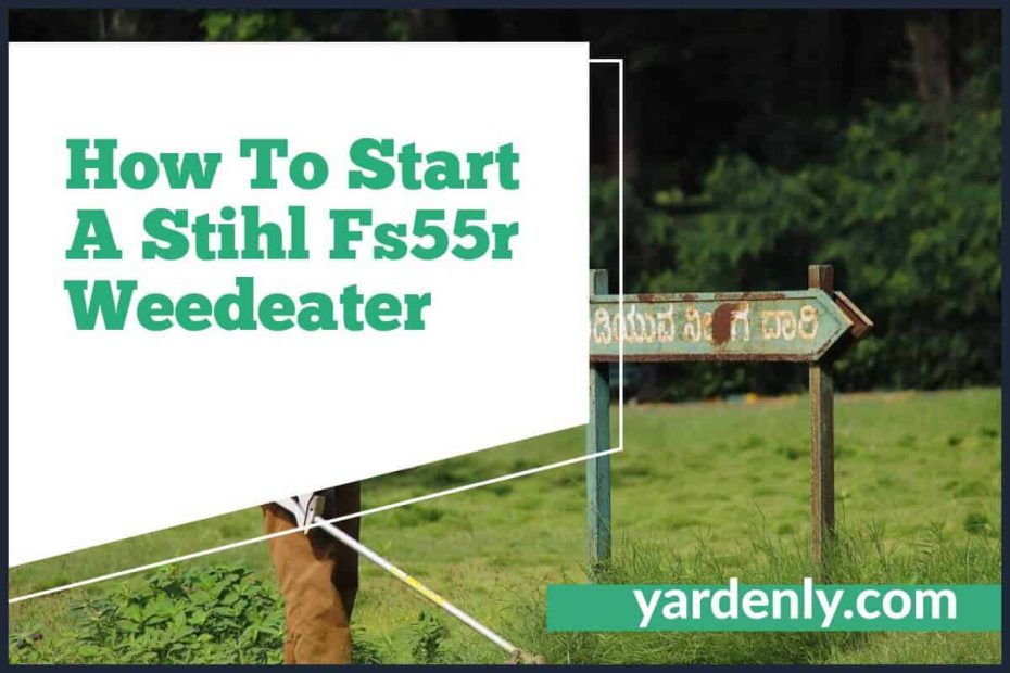 How To Start A Stihl Fs55r Weedeater (1)