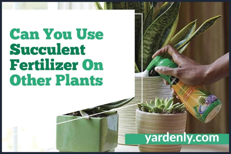 Can You Use Succulent Fertilizer On Other Plants