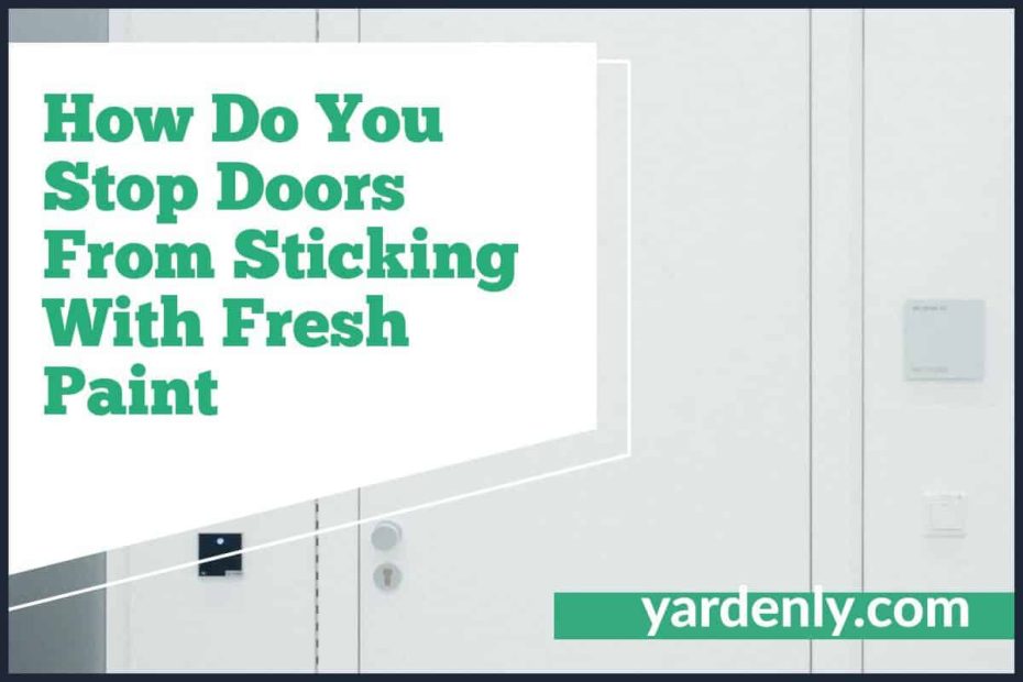 How Do You Stop Doors From Sticking With Fresh Paint (1)