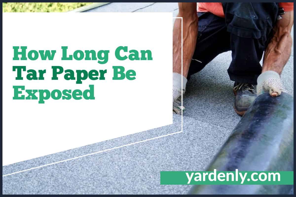 How Long Can Tar Paper Be Exposed