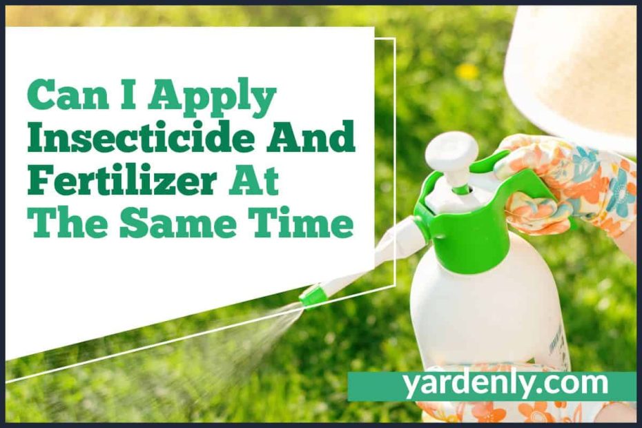 Can I Apply Insecticide And Fertilizer At The Same Time
