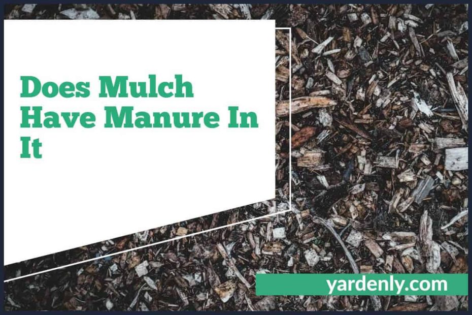 Does Mulch Have Manure In It (1)