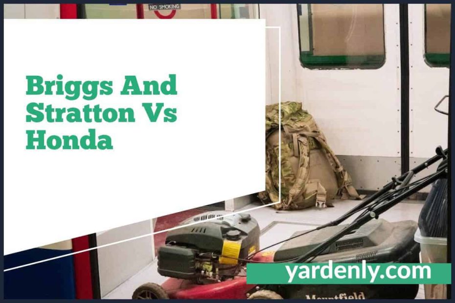 Briggs And Stratton Vs Honda (1)