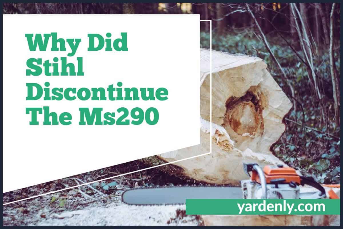 Why Did Stihl Discontinue The Ms290