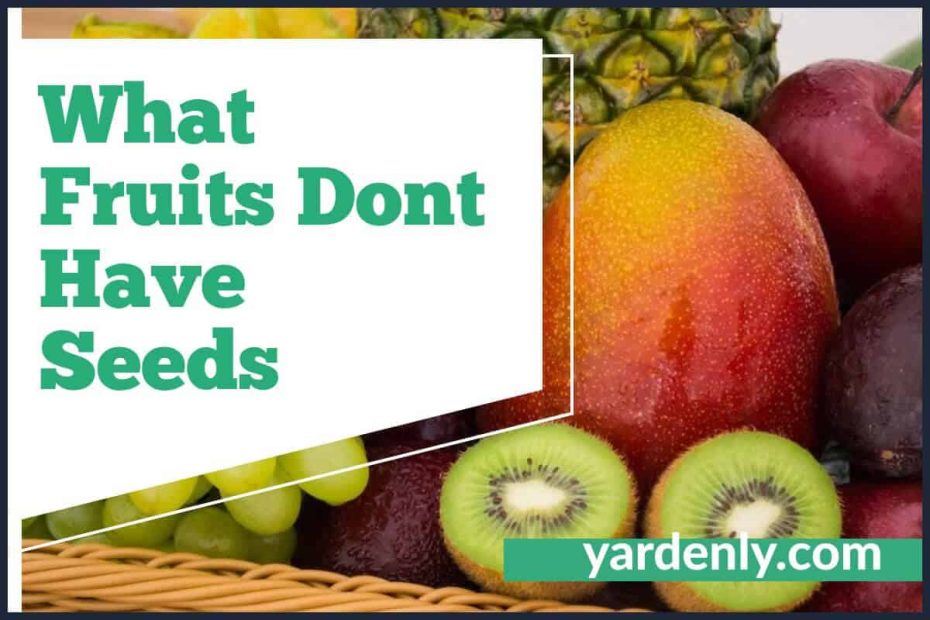 What Fruits Dont Have Seeds (1)
