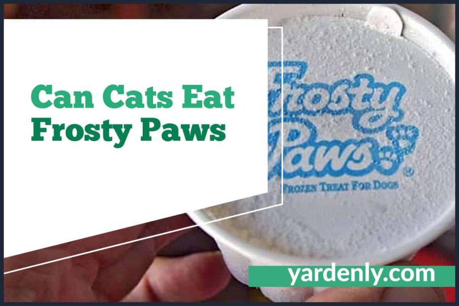 Can Cats Eat Frosty Paws