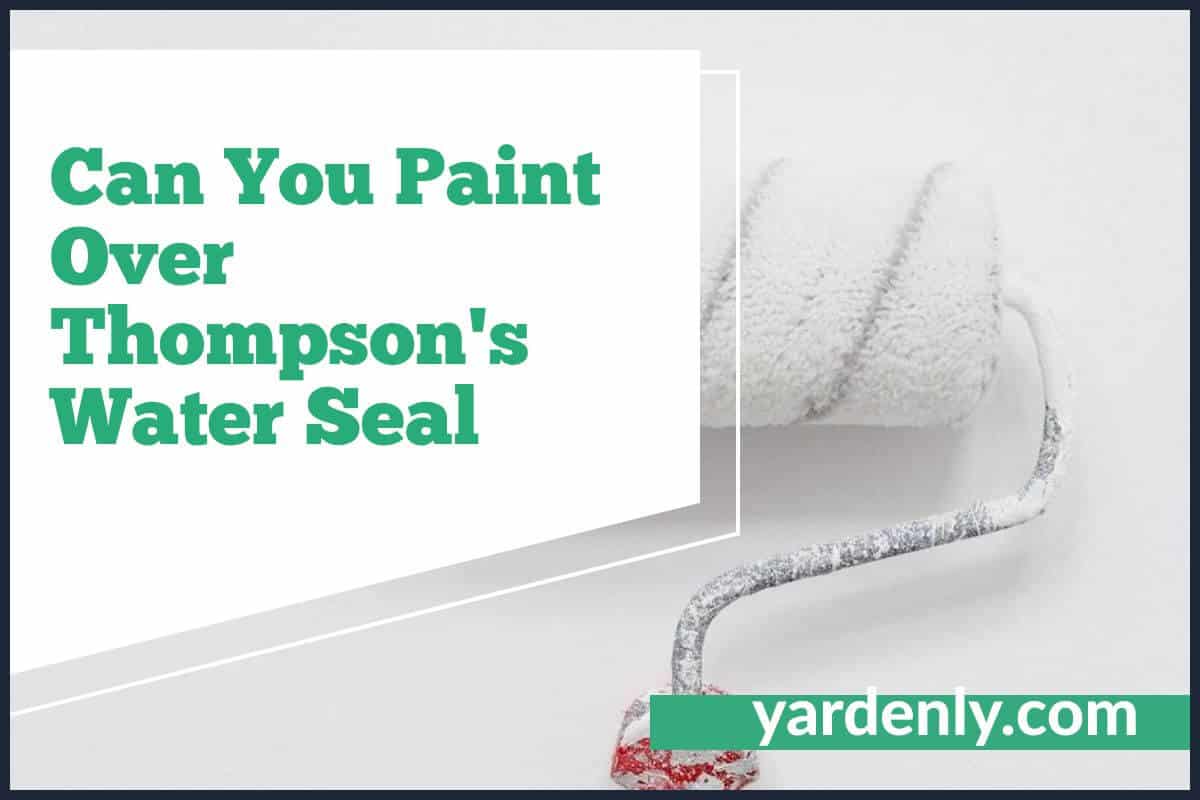 Can You Paint Over Thompson Water Seal