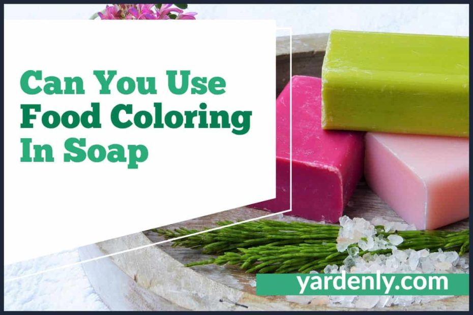 Can You Use Food Coloring In Soap