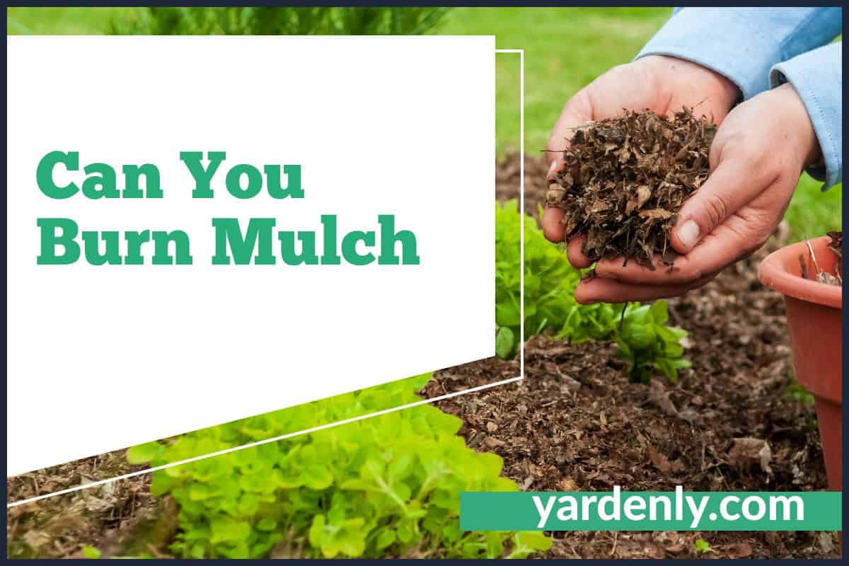 Can You Burn Mulch