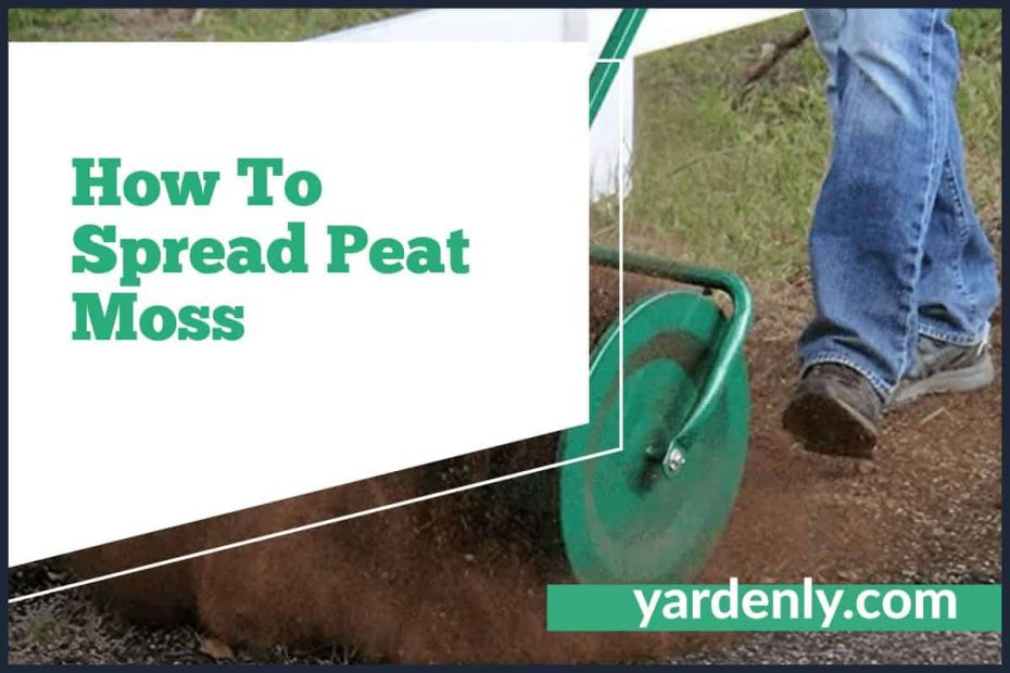 How To Spread Peat Moss