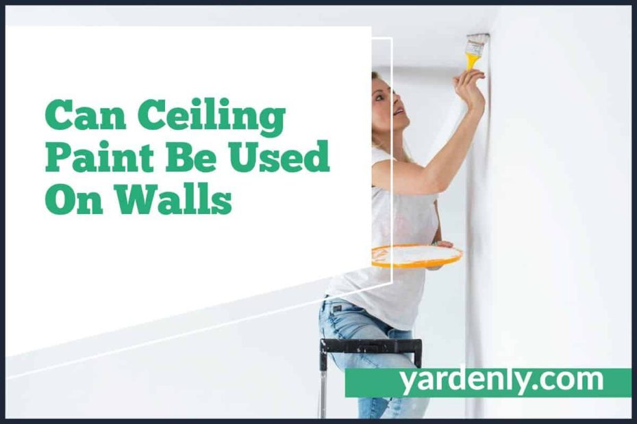 Can Ceiling Paint Be Used On Walls