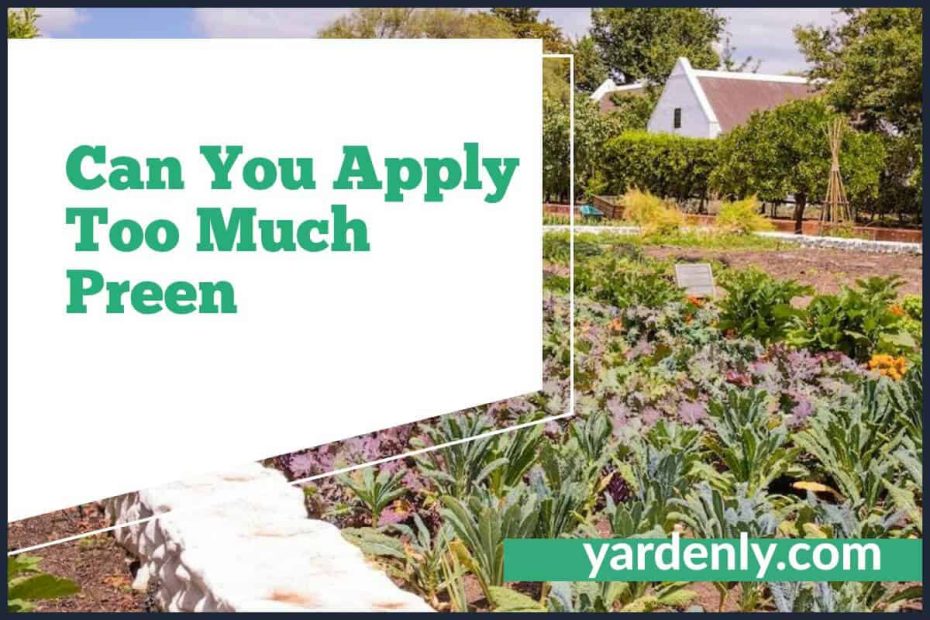 Can You Apply Too Much Preen