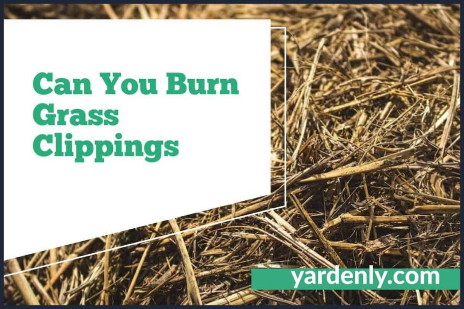 Can You Burn Grass Clippings