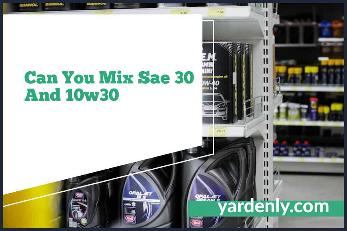 Can You Mix SAE 30 And 10w30