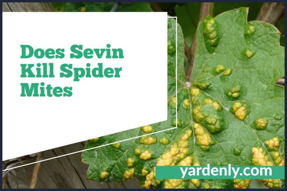 Does Sevin Kill Spider Mites