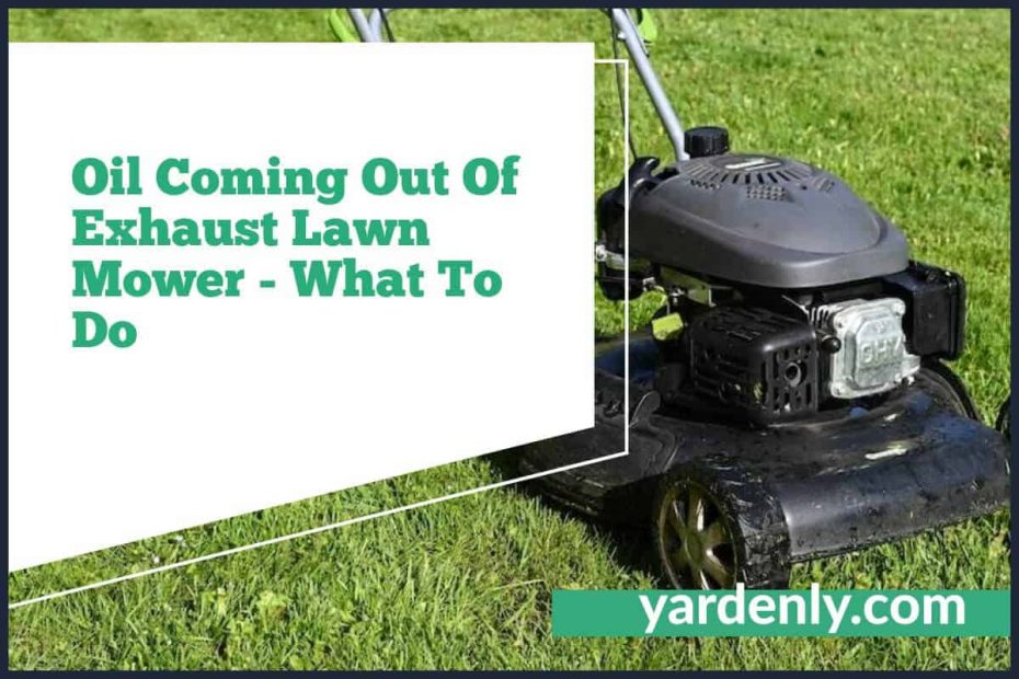 Oil Coming Out Of Exhaust Lawn Mower - What To Do (1)