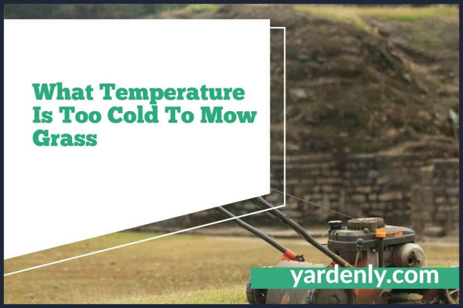 What Temperature Is Too Cold To Mow Grass (1)