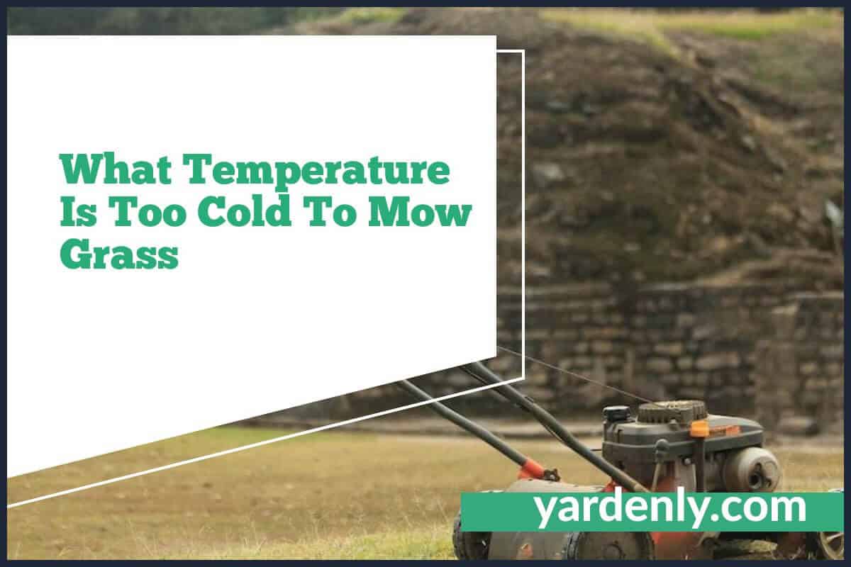 What Temperature Is Too Cold To Mow Grass