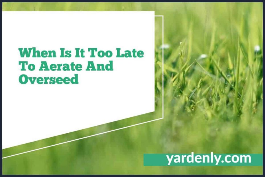 When Is It Too Late To Aerate And Overseed (1)