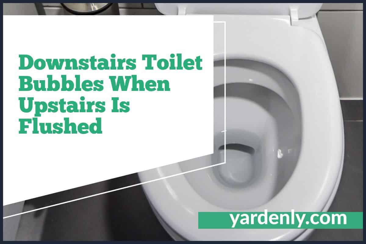 Downstairs Toilet Bubbles When Upstairs Toilet Is Flushed