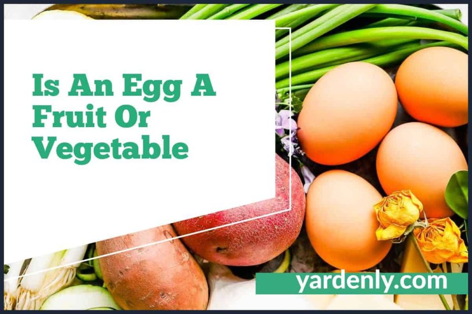 Is An Egg A Fruit Or Vegetable