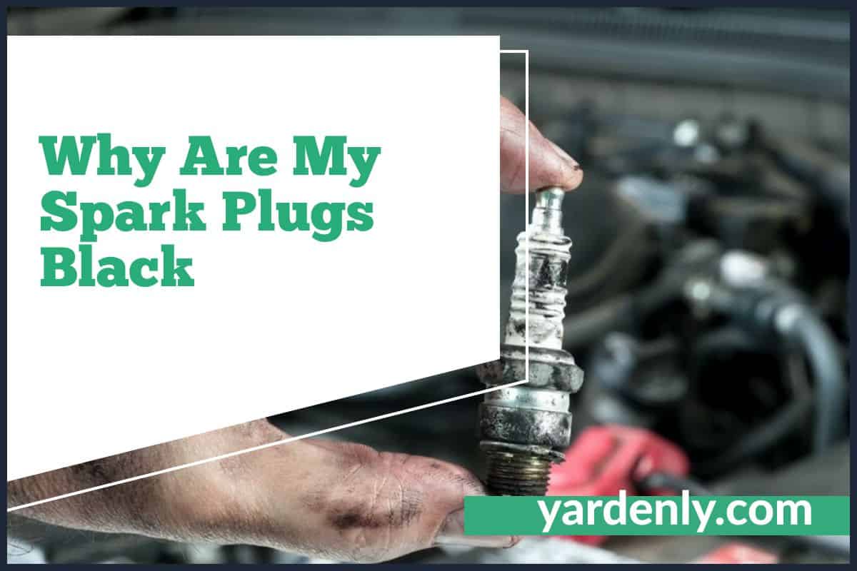 Why Are My Spark Plugs Black