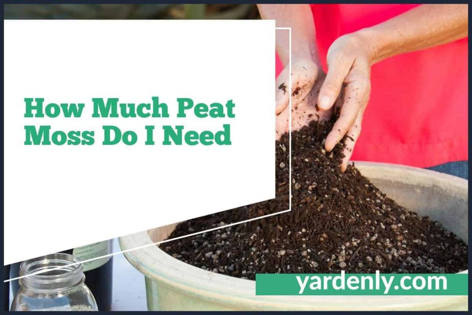 How Much Peat Moss Do I Need