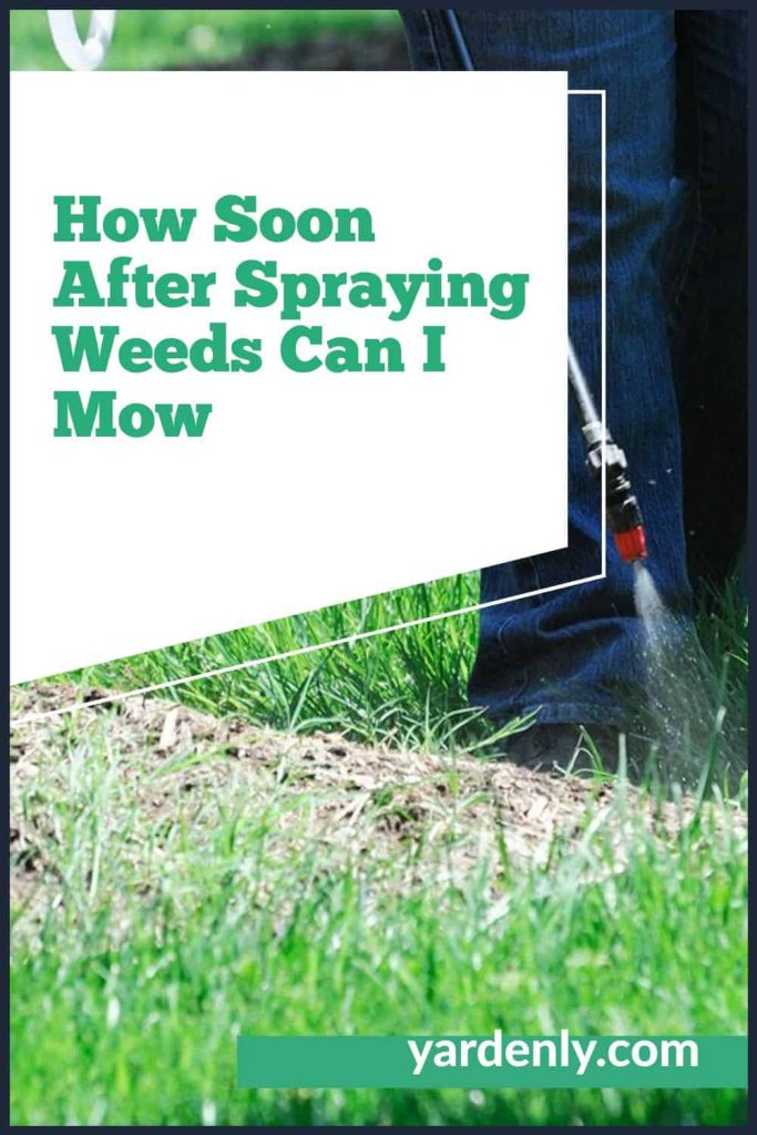 Optimal Time to Mow After Spraying Weed Killers: All You Need to Know