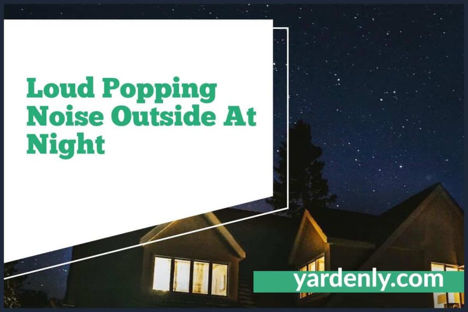 Loud Popping Noise Outside At Night (1)