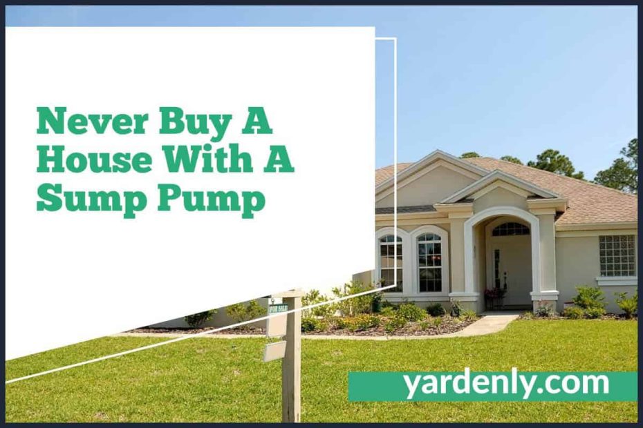 Never Buy A House With A Sump Pump (1)