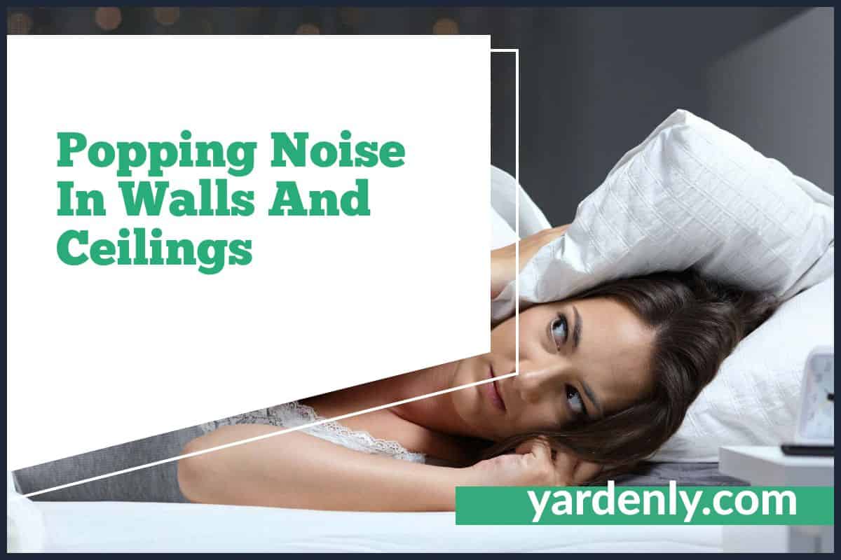 Understanding the Common Causes of Popping Noise in House Walls