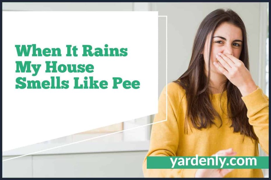 When It Rains My House Smells Like Pee