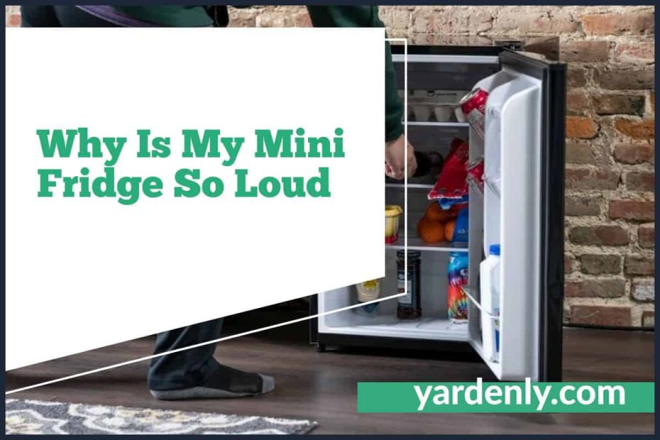 Why Is My Mini Fridge So Loud