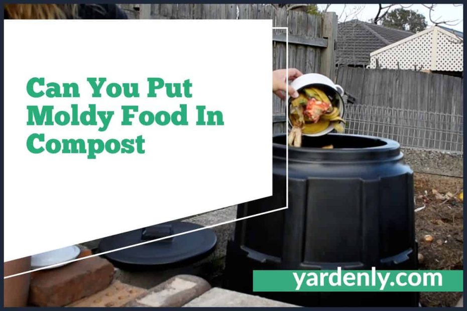 Can You Put Moldy Food In Compost