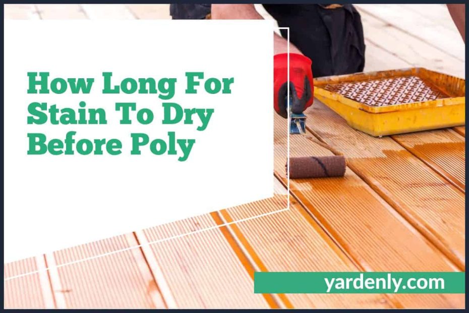 How Long For Staint to Dry Before Poly