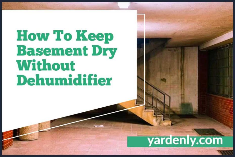 How To Keep Basement Dry Without Dehumidifier (1)