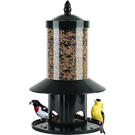 Squirrel Proof Bird Feeder with 360° Perch